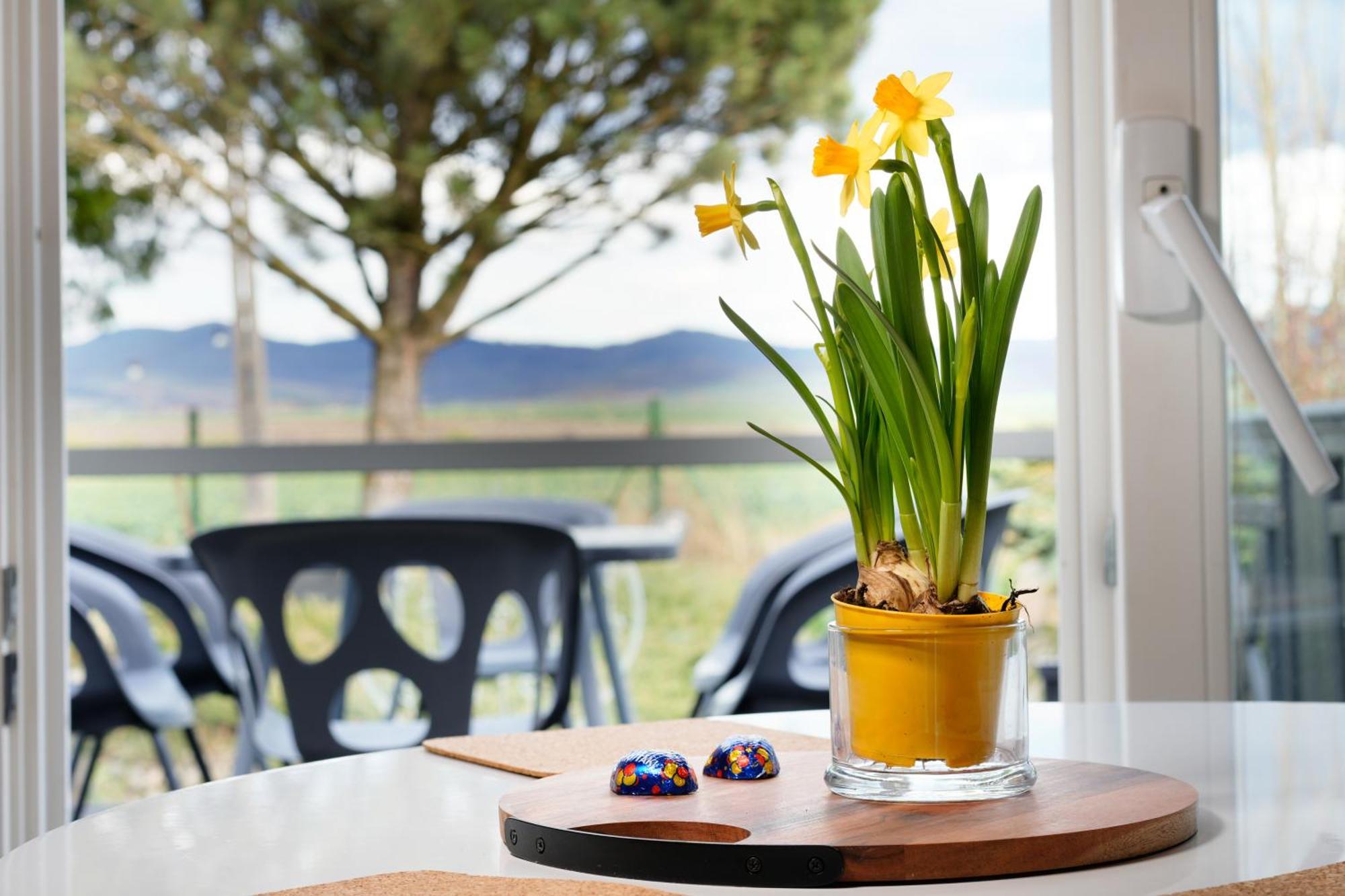 Margarett - Cozy House Klodzko Jaszkowa Dln. Villa Dış mekan fotoğraf
